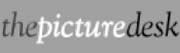 thepicturedesk